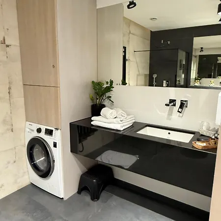 Aleja Wolnosci 아파트 노비 삭츠