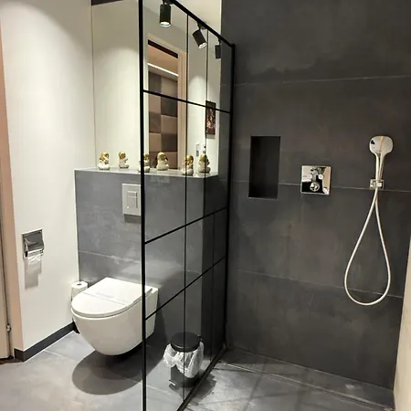 아파트 Aleja Wolnosci 노비 삭츠