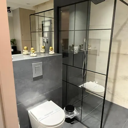 Aleja Wolnosci 아파트 노비 삭츠