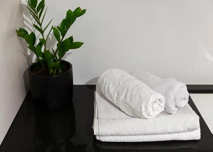 Aleja Wolnosci Apartamento